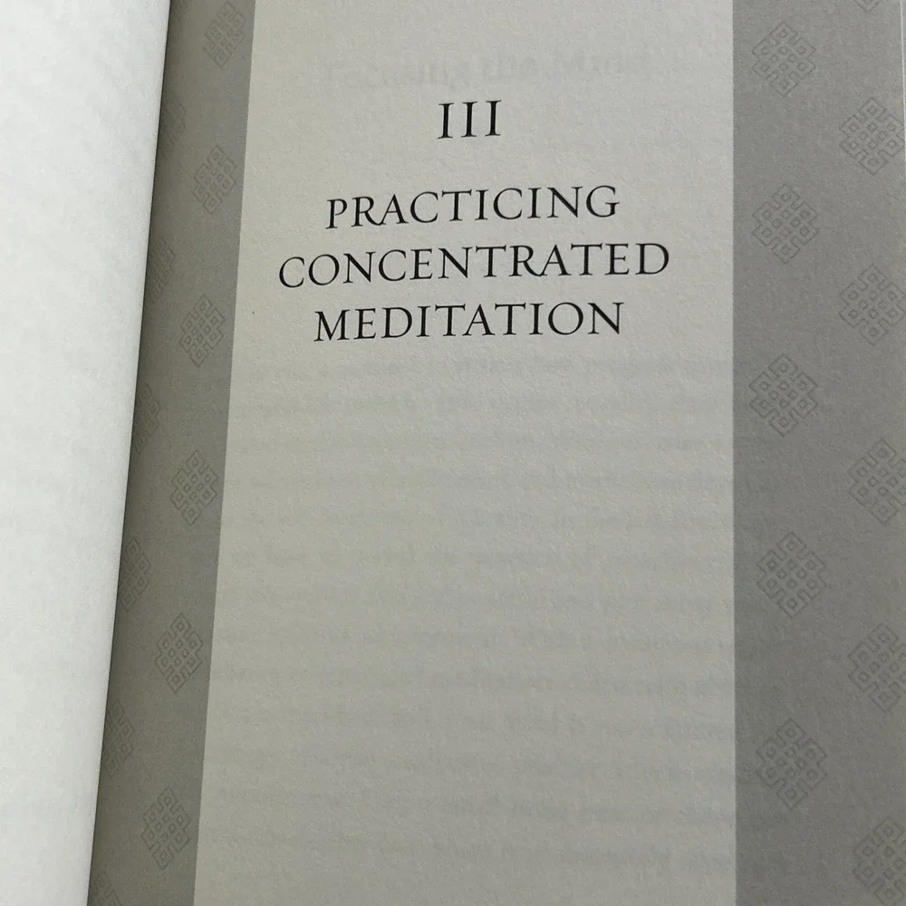 How To Practice : The Way To A Meaningful Life Dalai Lama 2002 Dust Cover